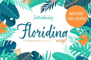 Floridina: A Fresh Summer Font for Modern Design