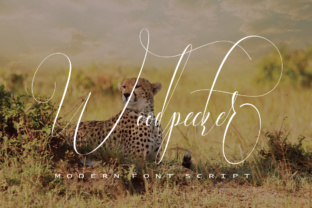 Woodpecker: A Modern Handwritten Font for Elegant Design